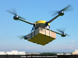 Watch: Bird Attacks Food Delivery Drone; Internet Reacts