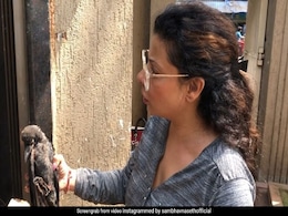 इस एक्ट्रेस ने घायल कौए की बचाई जिंदगी तो फैन्स बोले- जिसका कोई नहीं उसका...देखें Video इस एक्ट्रेस ने घायल कौए की बचाई जिंदगी तो फैन्स बोले- जिसका कोई नहीं उसका...देखें Video