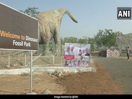 India Gets Its First Dinosaur-Museum-Cum-Park In Gujarat India Gets Its First Dinosaur-Museum-Cum-Park In Gujarat