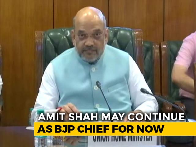 Amit Shah To Remain BJP Chief For Now, Say Sources