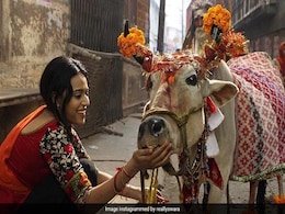 'राझणां' को हुए 6 साल पूरे तो स्वरा भास्कर ने किया पोस्ट, सोशल मीडिया यूजर्स ने लगाए मोदी-मोदी के नारे 'राझणां' को हुए 6 साल पूरे तो स्वरा भास्कर ने किया पोस्ट, सोशल मीडिया यूजर्स ने लगाए मोदी-मोदी के नारे