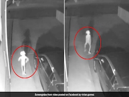 Security Camera Captures Elf-Like Creature. 30 Million Views For Bizarre Video Security Camera Captures Elf-Like Creature. 30 Million Views For Bizarre Video
