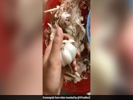 Garlic Peeling Tips: लहसुन छीलने में होती है परेशानी तो इन 5 टिप्स से मिलेगी मदद Garlic Peeling Tips: लहसुन छीलने में होती है परेशानी तो इन 5 टिप्स से मिलेगी मदद