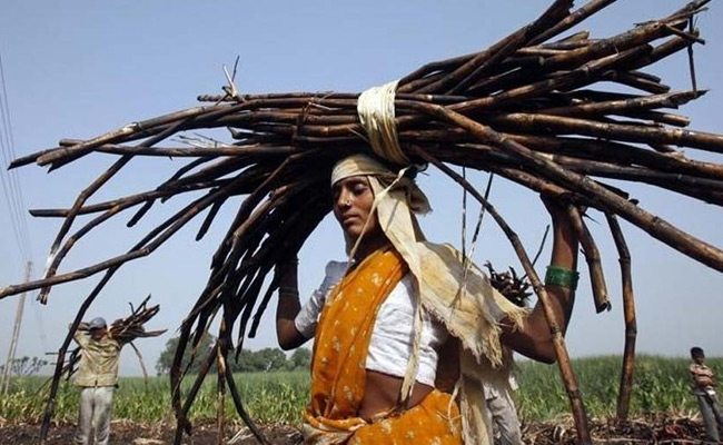 Maharashtra Government Panel To Probe Beed Hysterectomy Cases: Minister