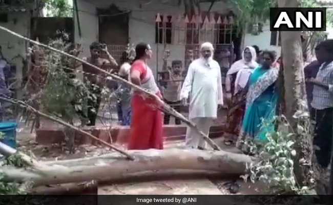 Six-Year-Old Dies After Tree Branch Falls On School Roof In Andhra Pradesh
