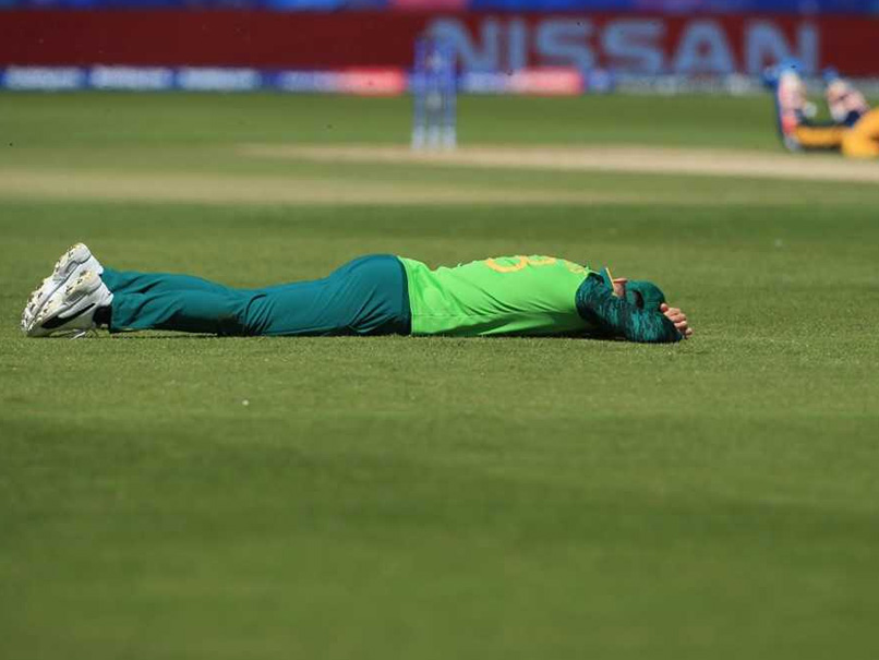 Watch: Bee Attack During Sri Lanka vs South Africa Forces Players, Umpires To Hit The Deck