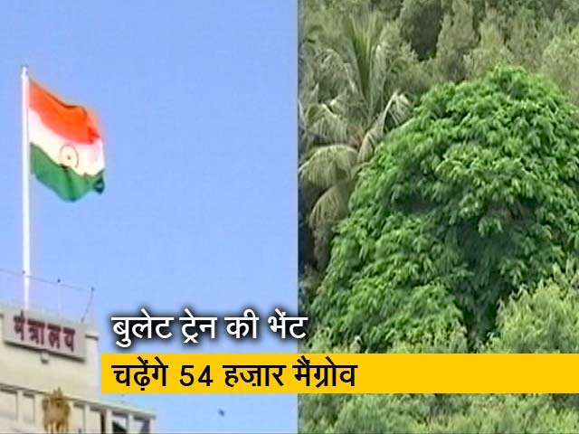 महाराष्ट्र में बुलेट ट्रेन की भेंट चढ़ेंगे 54 हज़ार मैंग्रोव