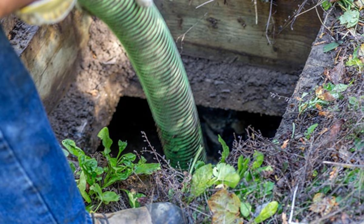 Over 67% Sewer, Septic Tank Workers From Scheduled Caste: Centre