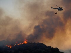 Spain Wildfires Burn Area Equivalent To Half Million Soccer Fields: Report