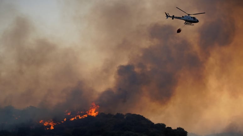 Spain Wildfires Burn Area Equivalent To Half Million Soccer Fields: Report