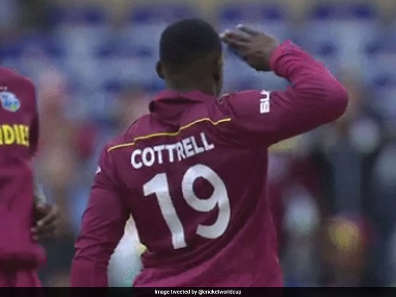 AUS vs WI: डेविड वॉर्नर को आउट कर शेल्डन काटरेल ने अनोखे अंदाज में मनाया जश्न, VIDEO