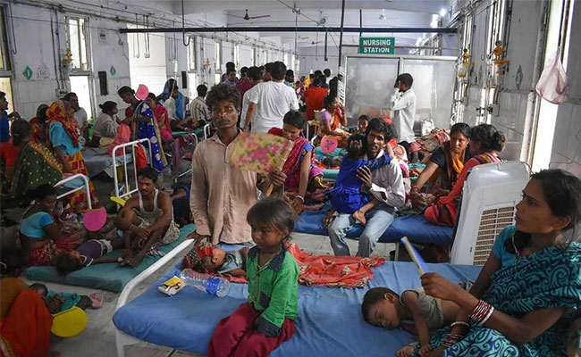 Government Working On Long Term Plan To Deal With Encephalitis: Minister