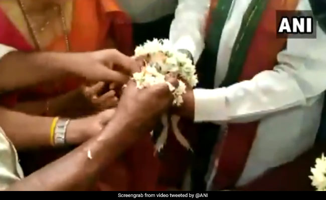 Frog Wedding In Karnataka's Udupi In A Bid To Appease Rain Gods