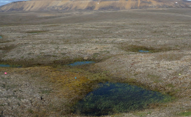 Scientists Amazed As Canadian Permafrost Thaws 70 Years Early