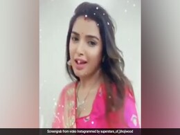 Bhojpuri Cinema: आम्रपाली दुबे ने पवन सिंह के गाने पर यूं किया डांस, बार-बार देखा जा रहा Video Bhojpuri Cinema: आम्रपाली दुबे ने पवन सिंह के गाने पर यूं किया डांस, बार-बार देखा जा रहा Video