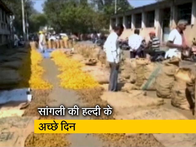 सांगली की हल्दी का कॉन्ट्रैक्ट लॉन्च हुआ