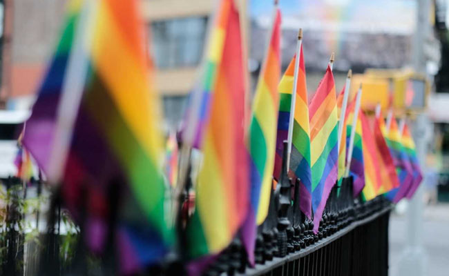 "Homosexuality A Disorder, Will Rise If Same-Sex Marriage Legalised": RSS Body Survey