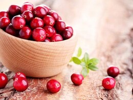 Eating Cranberries May Improve Brain Health And Lower Cholesterol: Study Eating Cranberries May Improve Brain Health And Lower Cholesterol: Study