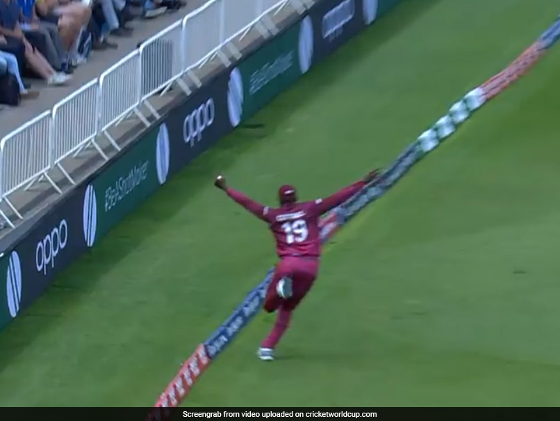 Sheldon Cottrell Takes Unbelievable Catch To Dismiss Steve Smith - Watch