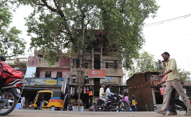 Madhya Pradesh Family Branches Out With Novel Tree House