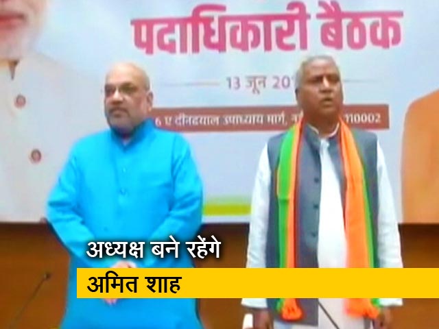 संगठन चुनाव तक बीजेपी के अध्यक्ष बने रहेंगे अमित शाह