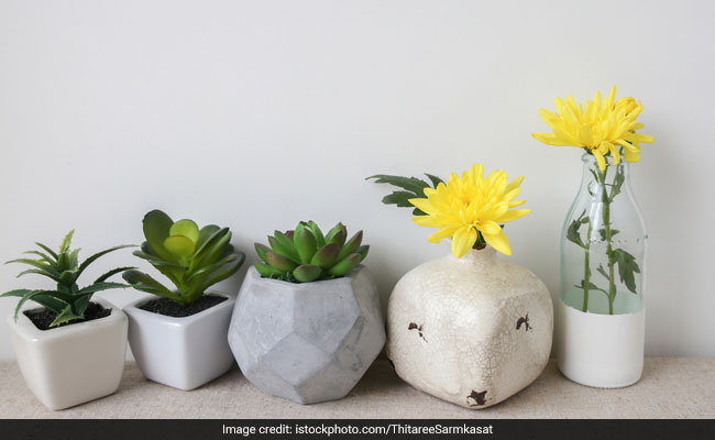 7 Planter Pots To Give Your Garden An Upgrade