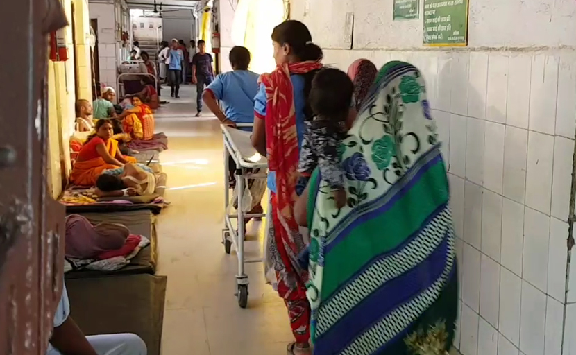 Congress Slams Union Minister Harsh Vardhan Over Children Deaths In Bihar