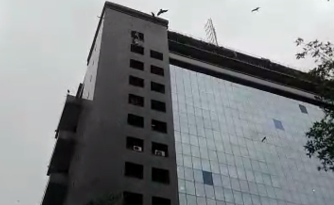 2 Men Cleaning Building's Glass Fall To Death From 10th Floor In Delhi