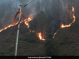 अमेरिका के जंगलों में लगी भयानक आग, 37000 एकड़ में फैली आग से शहर में फैला धुंआ अमेरिका के जंगलों में लगी भयानक आग, 37000 एकड़ में फैली आग से शहर में फैला धुंआ