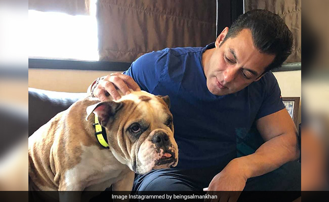 Salman Khan Is Busy 'Spending Time' With His Most 'Loving, Loyal And Selfless' Friend