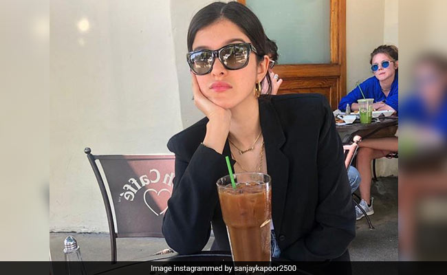 Shanaya Kapoor, Sleepy On LA Vacation, Gets This Comment From Cousin Harshvardhan