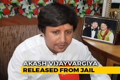 "Pray I Don't Get Chance To Bat Again," Says BJP Leader Who Hit Official "Pray I Don't Get Chance To Bat Again," Says BJP Leader Who Hit Official