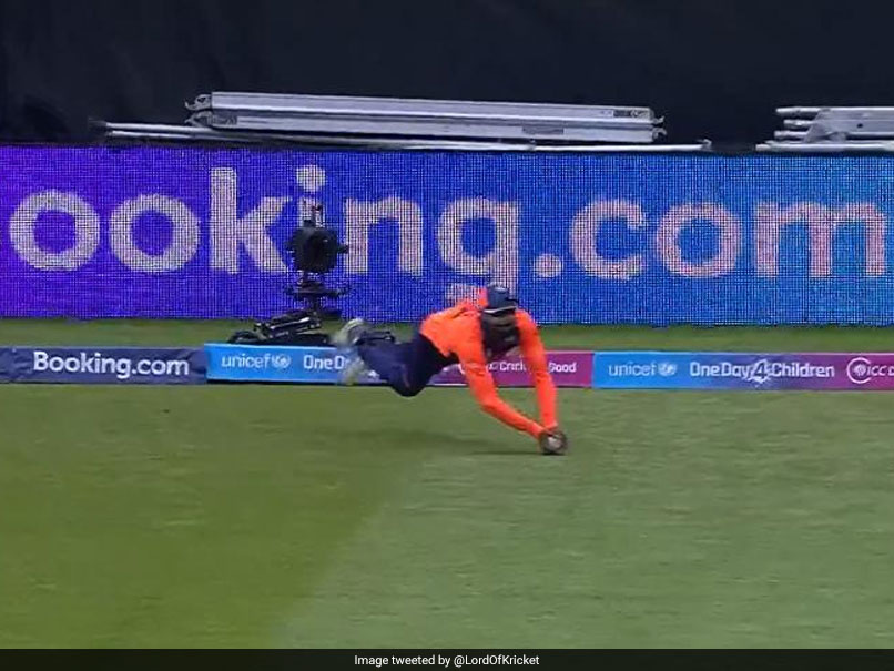 Ravindra Jadeja Takes Wonder Catch To Dismiss Jason Roy