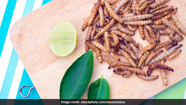 Bizarre! European Union Approves This Yellow Insect As Human Food