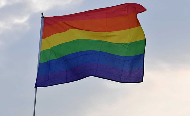 US Embassies In Delhi, Chennai Show Pride Flags Despite Washington's Note