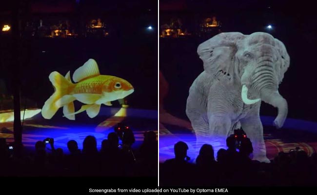 Watch: This Circus Uses 3D Holograms Instead Of Animals To Fight Cruelty