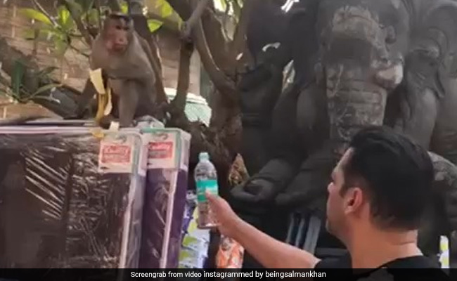 सलमान खान ने ‘बजरंगी भाईजान’ को दिया पानी लेकिन उसने लेने से किया इनकार, देखें Video