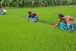 India Is The Top Exporter Of Virtual Water As Cities Stare At Scarcity India Is The Top Exporter Of Virtual Water As Cities Stare At Scarcity