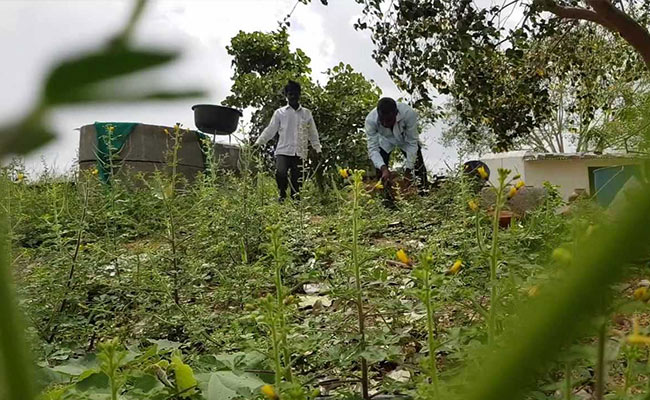 Telangana's First Organic Village Is Leading The Way In Natural Farming