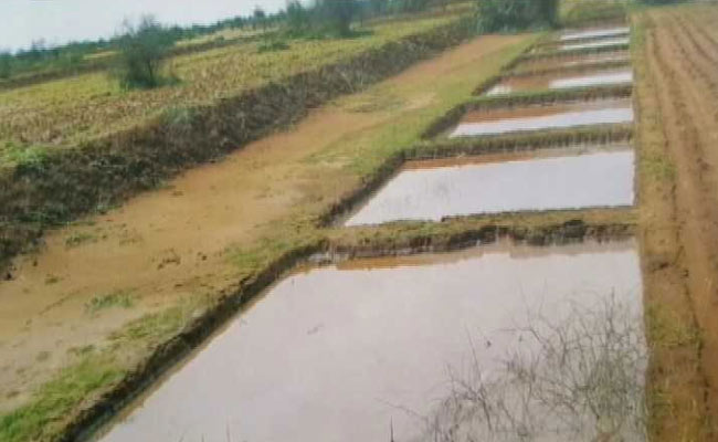 How One Rajasthan Village Still Has Water Even After A Long, Dry Summer