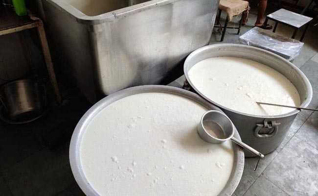 3 Synthetic Milk Plants, Supplying To 6 States, Raided In Madhya Pradesh 3 Synthetic Milk Plants, Supplying To 6 States, Raided In Madhya Pradesh