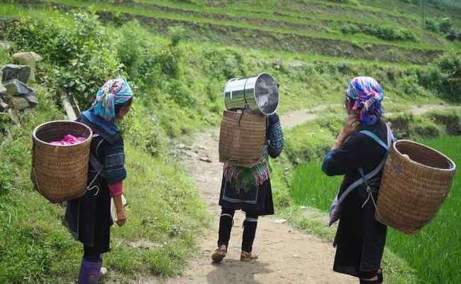 बजट 2020 : रेवेन्यू कलेक्शन के टारगेट में सरकार बहुत पिछड़ गई, मंदी से अर्थव्यवस्था सुस्त