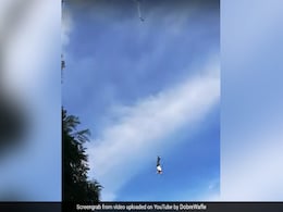 बंजी जम्पिंग कर रहा था शख्स, आसमान में रस्सी टूटते ही सीधे जमीन पर गिरा...और फिर, देखें Viral Video बंजी जम्पिंग कर रहा था शख्स, आसमान में रस्सी टूटते ही सीधे जमीन पर गिरा...और फिर, देखें Viral Video