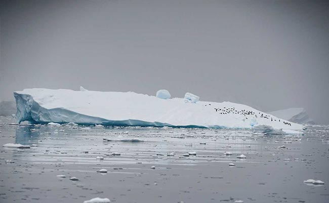 Ice Covering Arctic Ocean Disappearing Faster Than Normal, Say Scientists