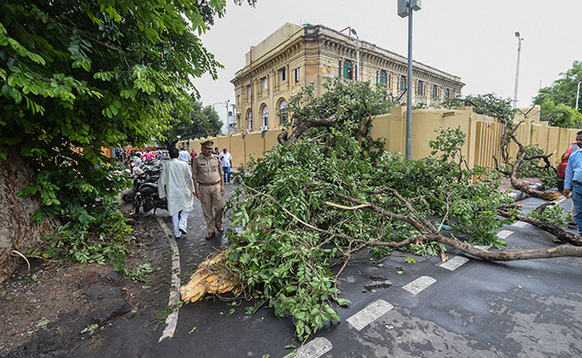 14 Killed In Rain-Related Incidents In UP