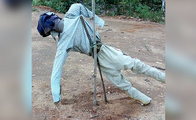 Exploding Scarecrows: Chhattisgarh Maoists' New Weapon Against CRPF