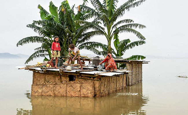 43 Lakh Affected, 95% Of Kaziranga Park Flooded In Assam: 10 Points