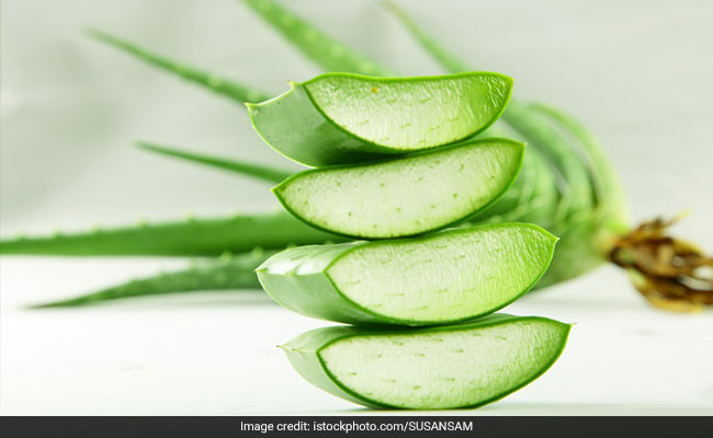 7 Body Lotions With The Refreshing Goodness Of Aloe Vera