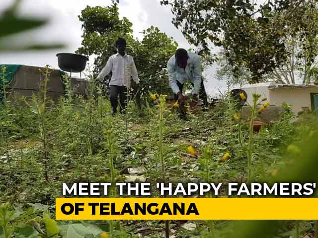 Telangana's First Organic Village Is Leading The Way In Natural Farming