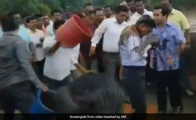 On Video, Congress Leader Assaults Engineer, Supporters Throw Mud At Him